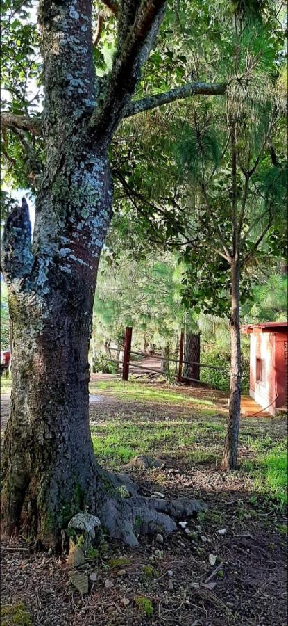 Cabaña La Vía Láctea El Pacifico Exterior foto